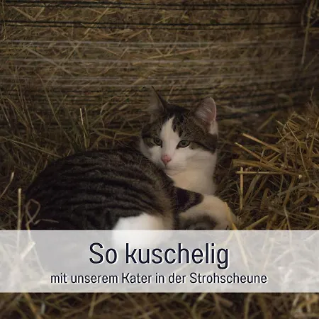 Apartment Bio Wichtelweide - Calendula *