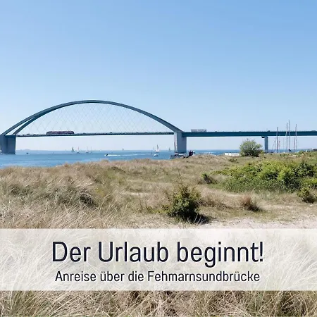 Bio Wichtelweide - Calendula