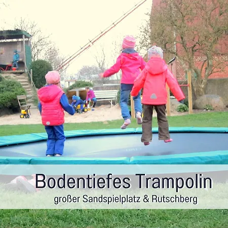 Bio Wichtelweide - Calendula *