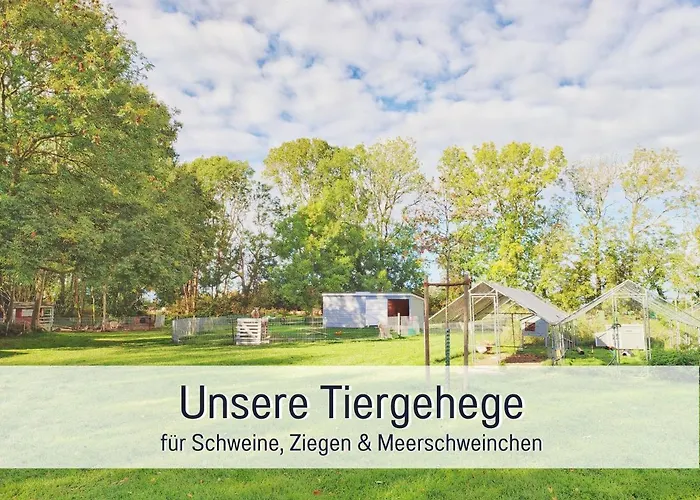 Bio Wichtelweide - Calendula * 费马恩