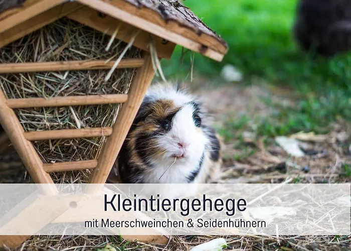 Bio Wichtelweide - Calendula 公寓 费马恩