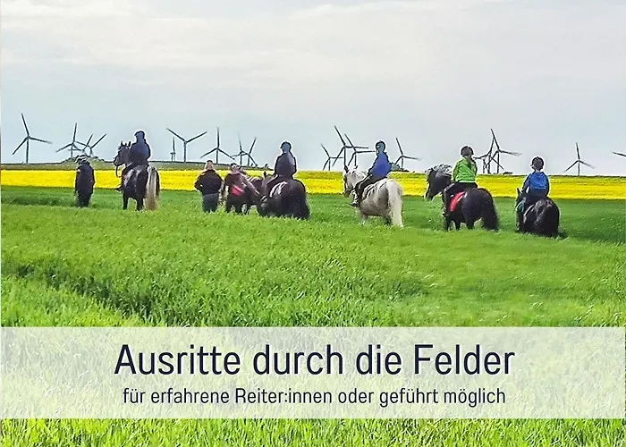 Bio Wichtelweide - Calendula 费马恩