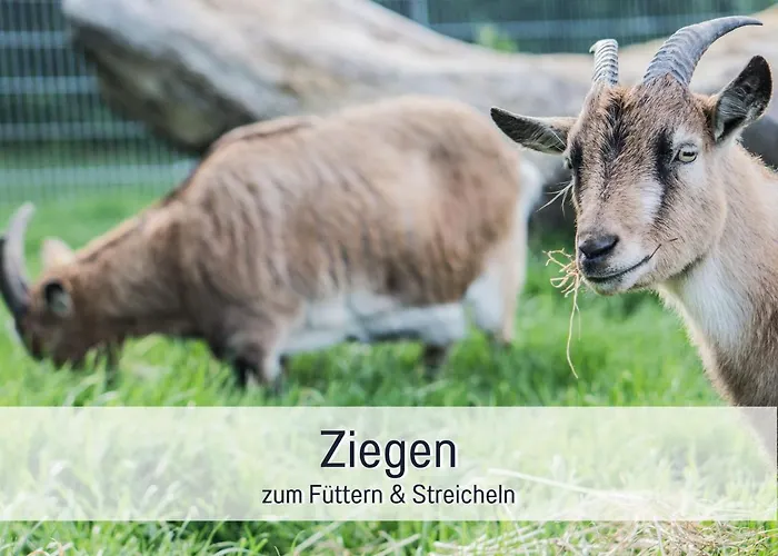 Bio Wichtelweide - Calendula 公寓 费马恩