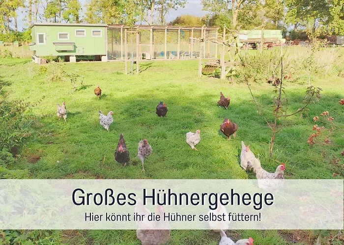 Bio Wichtelweide - Calendula 费马恩